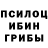 Псилоцибиновые грибы Cubensis Tanysha K