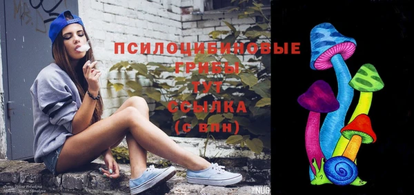 прущая мука Алзамай