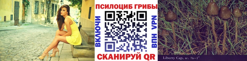 Псилоцибиновые грибы ЛСД  Каменск-Уральский 